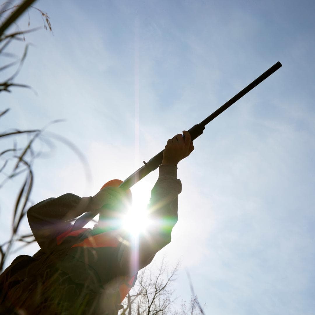 Highly Controlled Pest Control Operations